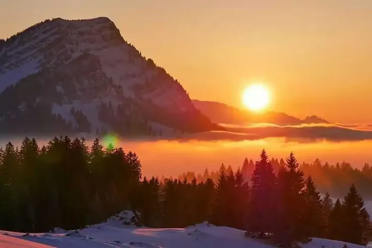 MILF Sextreffen Appenzell-Ausserrhoden